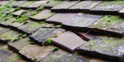 Hurley roof repair costs